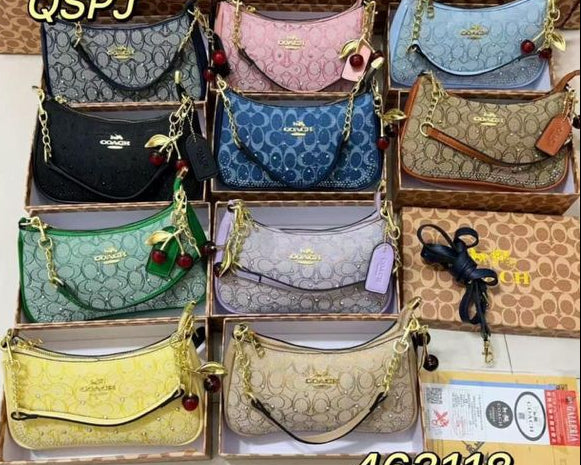 Coach shoulder bag
