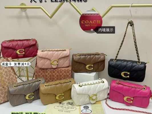 Coach Mini Bag