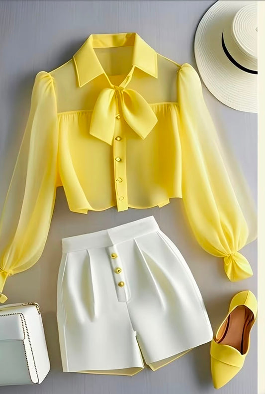 Women's Lapel Neckline Sheer Top and Pant